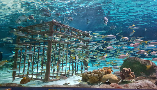 Advantages of Direct Booking3